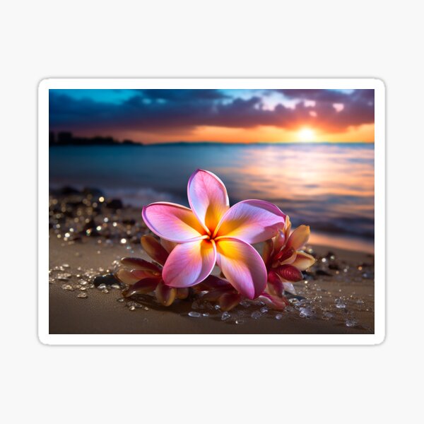 Plumeria Beach Sticker
