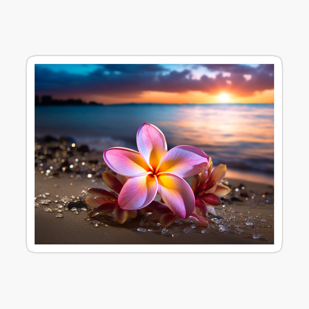 Cook Islands T-Shirt Plumeria Flowers Tribal Motif Design