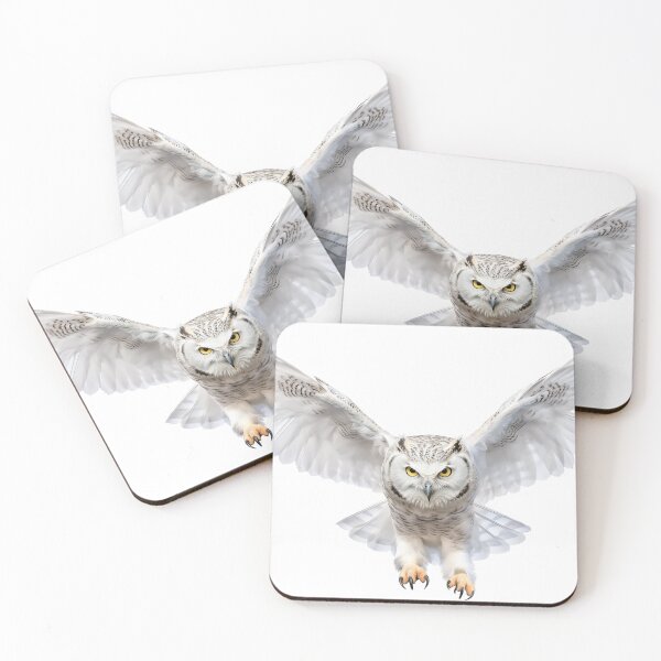 Item preview, Snowy Owl in Flight Isolated on White Background. AI generated Illustration. designed and sold by svetlanna.