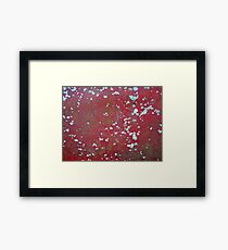 Rust 6 Framed Print
