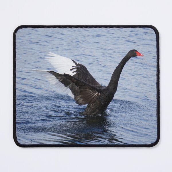 Item preview, Swan wing flaps designed and sold by charlienelson.