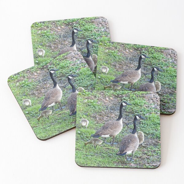 Item preview, Family of Geese designed and sold by Frankie Cat Photography.