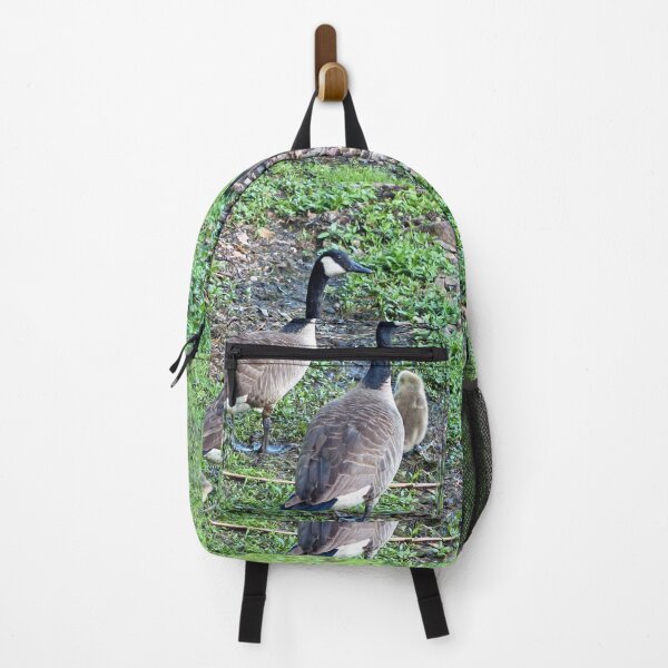 Item preview, Family of Geese designed and sold by Frankie Cat Photography.