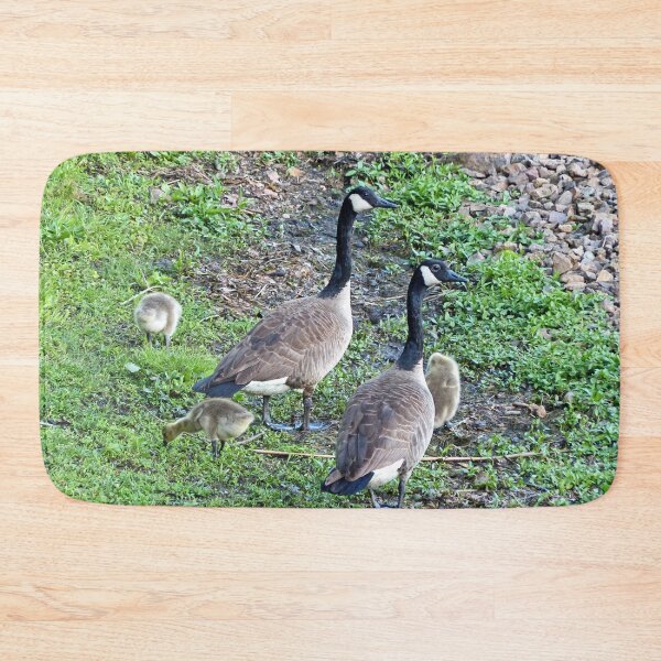 Item preview, Family of Geese designed and sold by Frankie Cat Photography.
