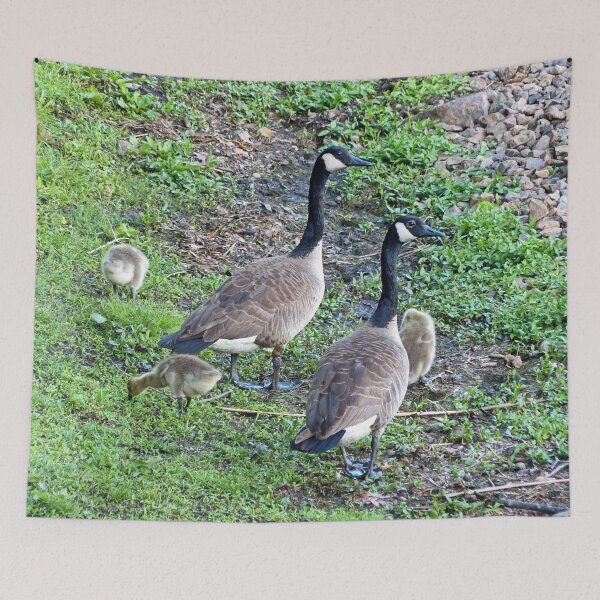 Item preview, Family of Geese designed and sold by Frankie Cat Photography.