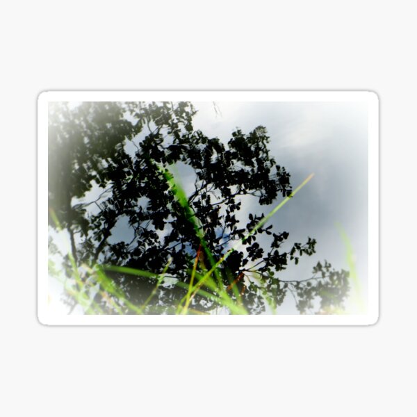 Misty and dreamy reflections Sticker
