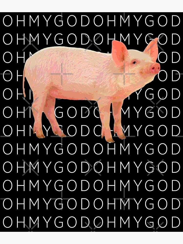 "Shane Pig Oh my God Tshirt Dawson style" Photographic Print by