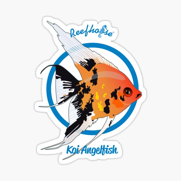 Freshwater Angelfish Stickers for Sale