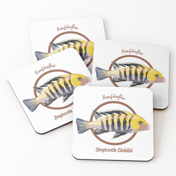 Item preview, Dogtooth Cichlid designed and sold by KaplanCrypto.