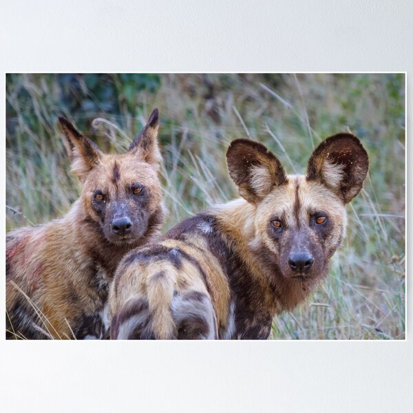 Item preview, Side by Side designed and sold by Owed To Nature.