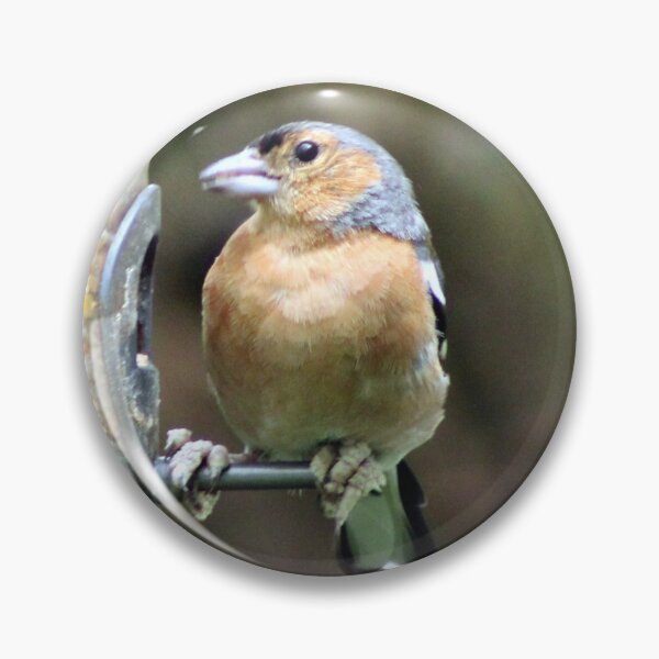 Item preview, chaffinch designed and sold by KathleenDawson.