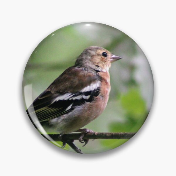 Item preview, chaffinch designed and sold by KathleenDawson.