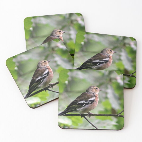 Item preview, chaffinch designed and sold by KathleenDawson.