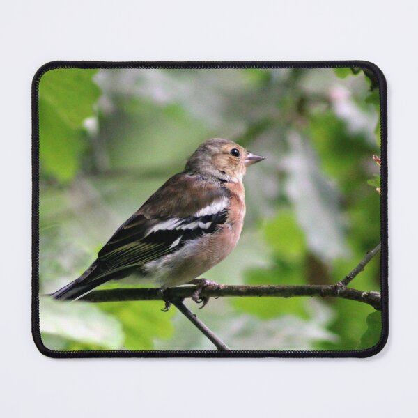 Item preview, chaffinch designed and sold by KathleenDawson.