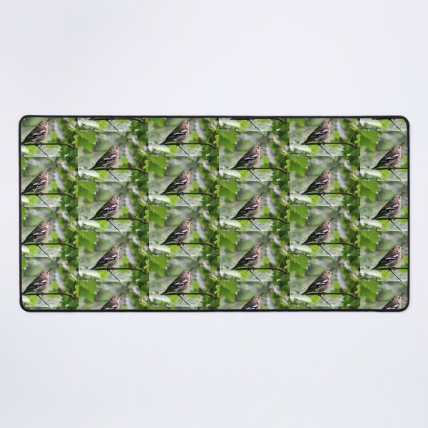 Item preview, chaffinch designed and sold by KathleenDawson.
