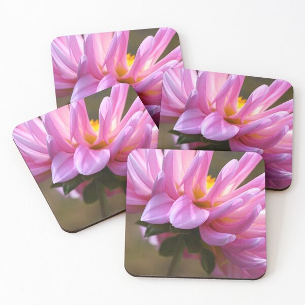 Item preview, Dahlia's Shy Side designed and sold by Joy Watson - Natural Light Photography .