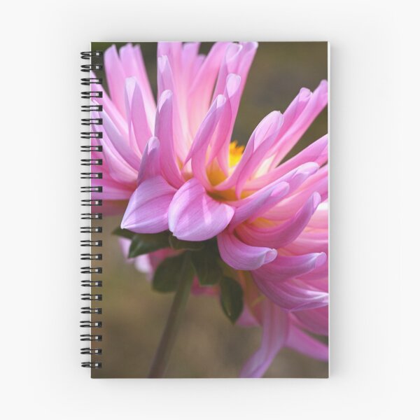 Item preview, Dahlia's Shy Side designed and sold by Joy Watson - Natural Light Photography .