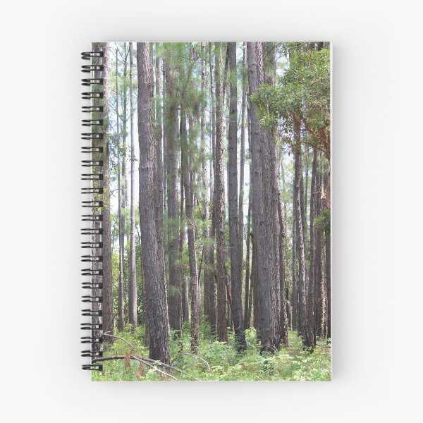 Item preview, Yarrabah Pine Trees designed and sold by Elverina Johnson.