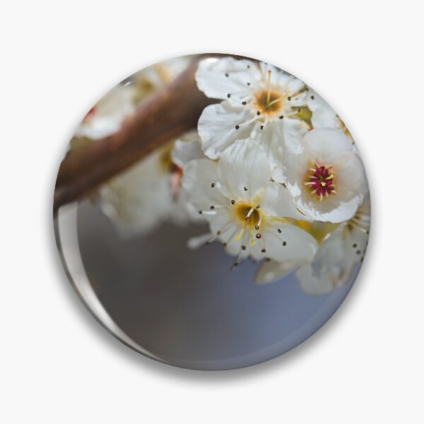 Item preview, White Blossom On The Tree Branch  designed and sold by Joy Watson - Natural Light Photography .