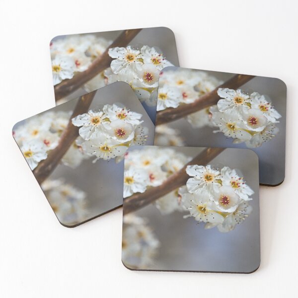Item preview, White Blossom On The Tree Branch  designed and sold by Joy Watson - Natural Light Photography .