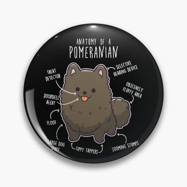 Item preview, Black Pomeranian Dog Anatomy designed and sold by Clara Hollins.