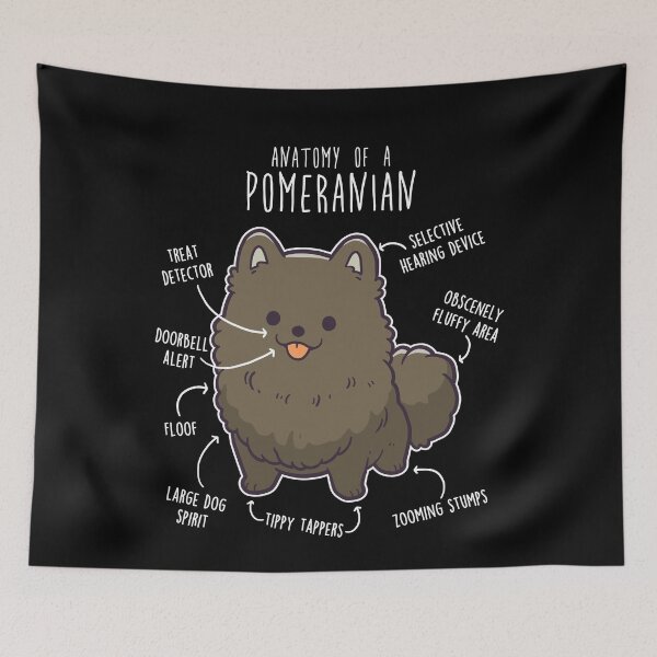 Item preview, Black Pomeranian Dog Anatomy designed and sold by Clara Hollins.