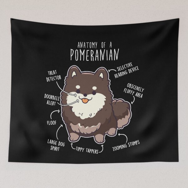 Item preview, Chocolate and Tan Pomeranian Dog Anatomy designed and sold by Clara Hollins.