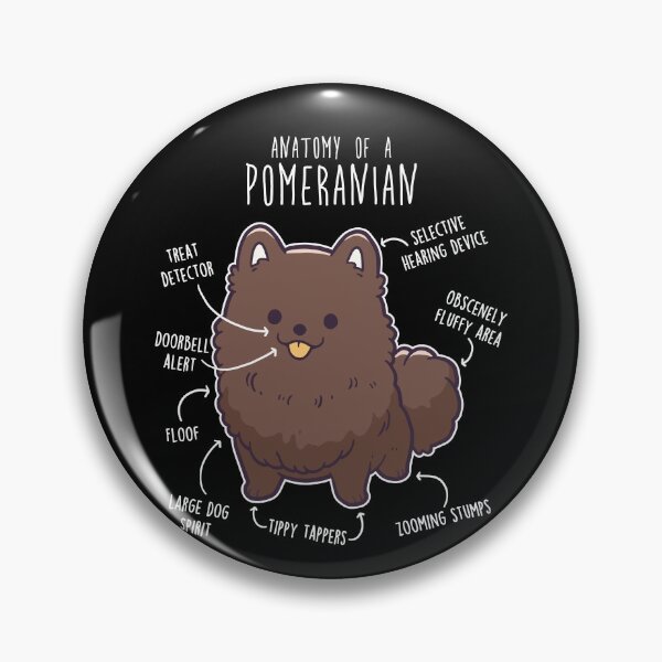 Item preview, Chocolate Pomeranian Dog Anatomy designed and sold by Clara Hollins.