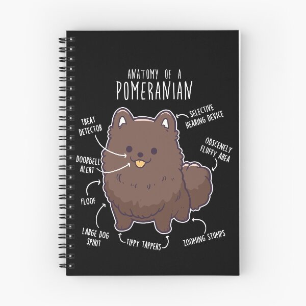 Item preview, Chocolate Pomeranian Dog Anatomy designed and sold by Clara Hollins.