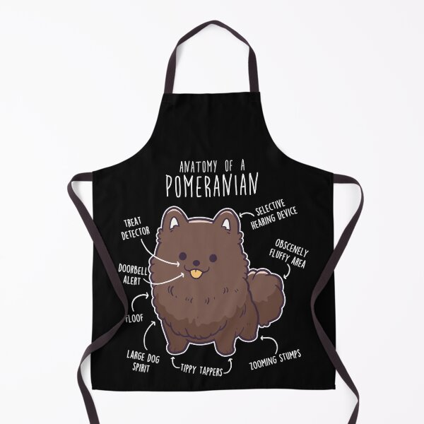 Item preview, Chocolate Pomeranian Dog Anatomy designed and sold by Clara Hollins.