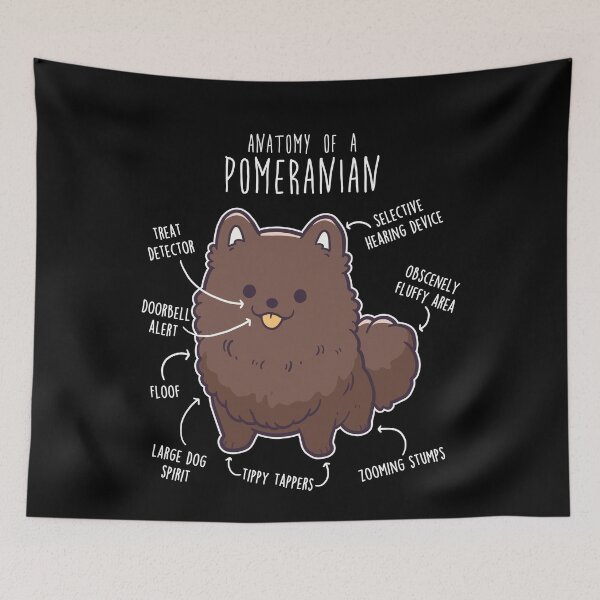 Item preview, Chocolate Pomeranian Dog Anatomy designed and sold by Clara Hollins.