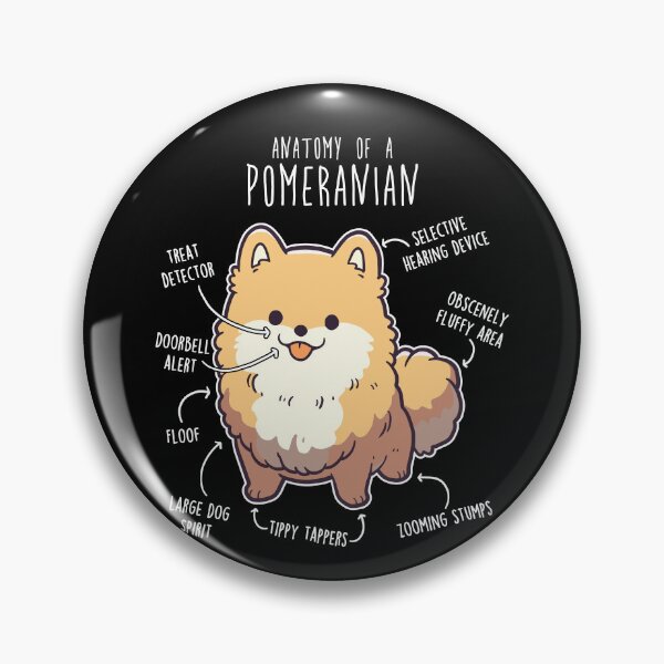 Item preview, Orange Pomeranian Dog Anatomy designed and sold by Clara Hollins.