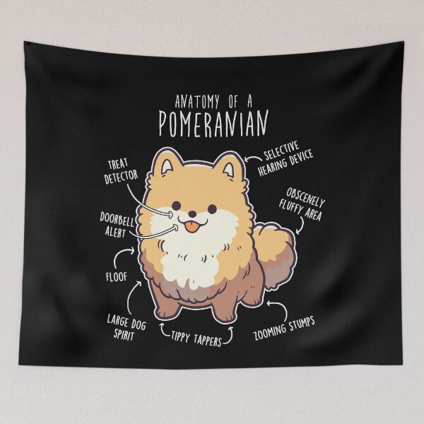 Item preview, Orange Pomeranian Dog Anatomy designed and sold by Clara Hollins.