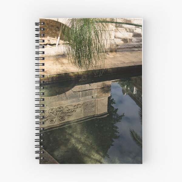 Item preview, Mythical Arethusa - Wild Papyrus and Frieze Reflections designed and sold by Georgia Mizuleva.