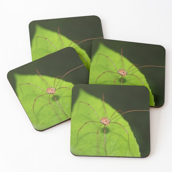 Item preview, Harvestman designed and sold by realworldpics.