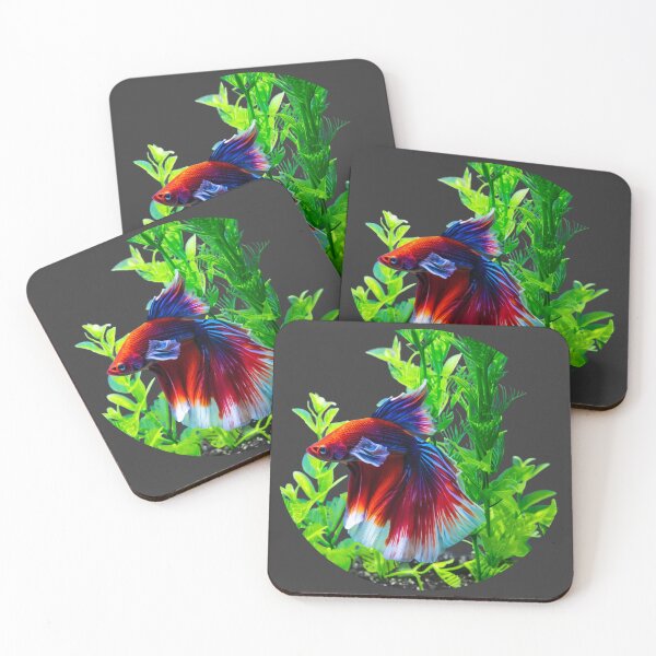Item preview, betta fish, the fighter fish of Siam designed and sold by run-rotee.