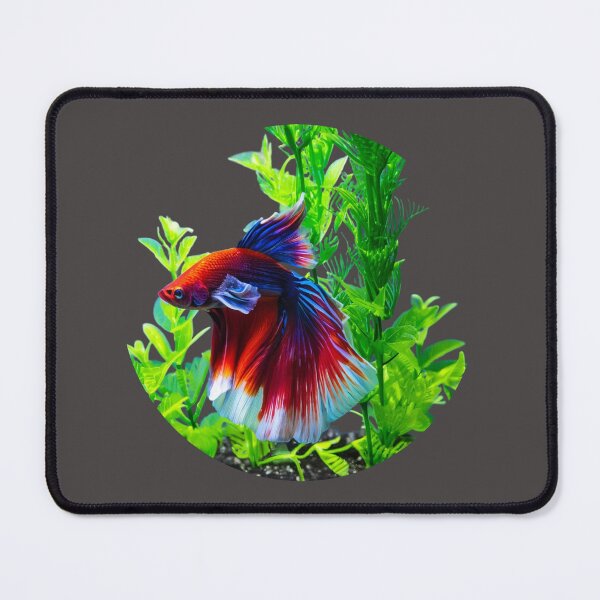 Item preview, betta fish, the fighter fish of Siam designed and sold by run-rotee.
