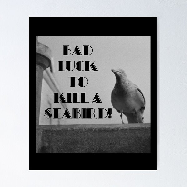 Item preview, Seabird designed and sold by McdonaldCasey.