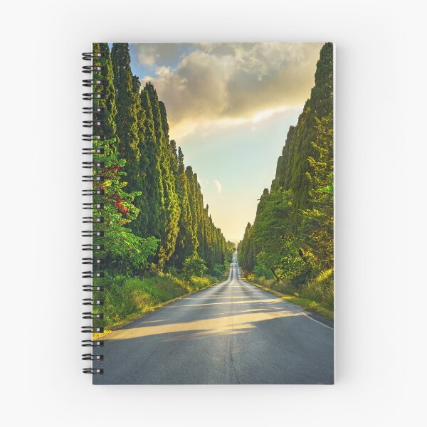 Item preview, Bolgheri cypresses avenue in Tuscany designed and sold by Stefano Orazzini.