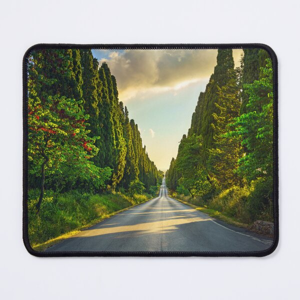 Item preview, Bolgheri cypresses avenue in Tuscany designed and sold by Stefano Orazzini.