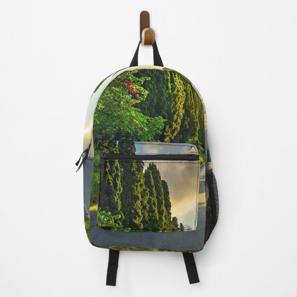 Item preview, Bolgheri cypresses avenue in Tuscany designed and sold by Stefano Orazzini.