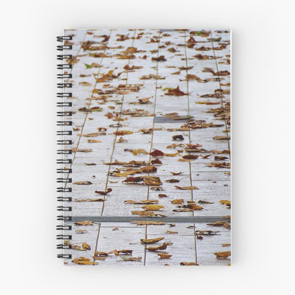 Item preview, Autumn in the city. designed and sold by Paul Pasco.