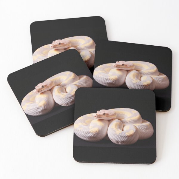 Item preview, albino ball python coiled up designed and sold by DanieWoods.