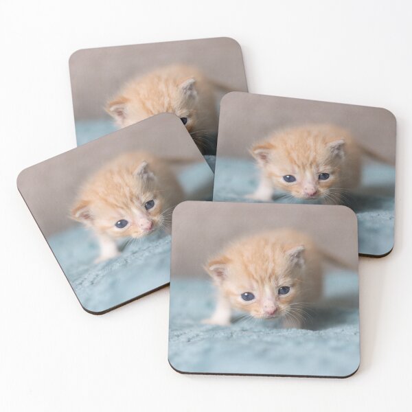 Item preview, Tiny ginger kitten designed and sold by GreyFeatherPhot.
