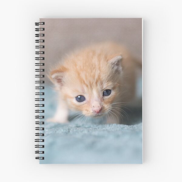 Item preview, Tiny ginger kitten designed and sold by GreyFeatherPhot.