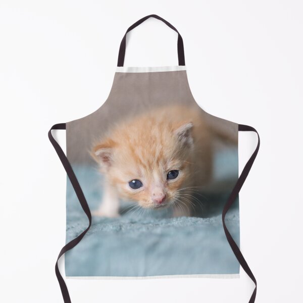 Item preview, Tiny ginger kitten designed and sold by GreyFeatherPhot.