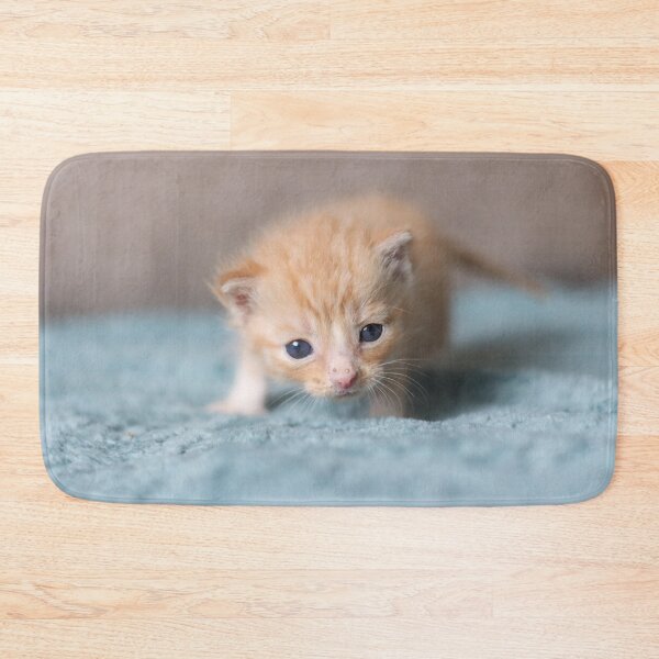 Item preview, Tiny ginger kitten designed and sold by GreyFeatherPhot.