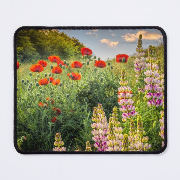 Item preview, Lupins & Poppies at Bamburgh designed and sold by Viv Thompson Photography .