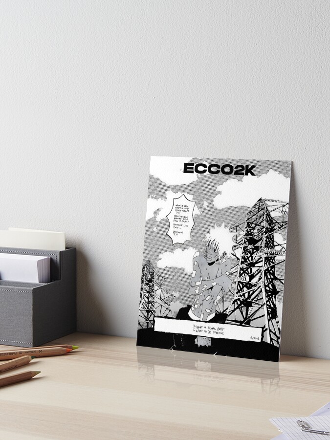 Ecco2k Poster PXE