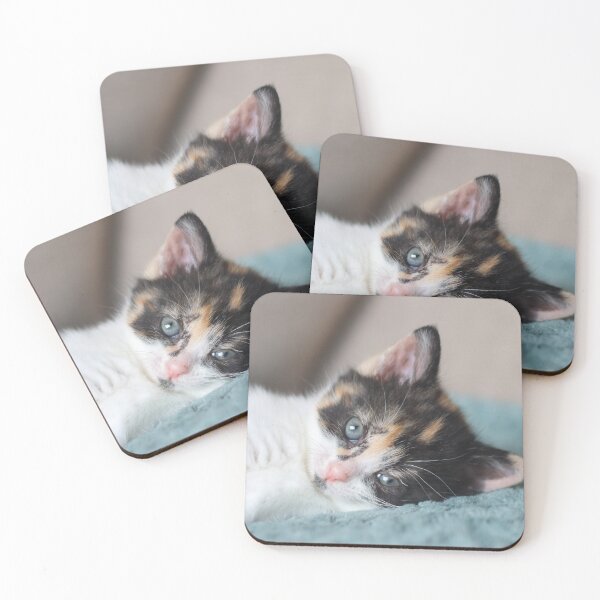Item preview, Kitten gaze designed and sold by GreyFeatherPhot.